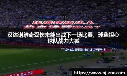 汉达诺维奇受伤未能出战下一场比赛，球迷担心球队战力大减